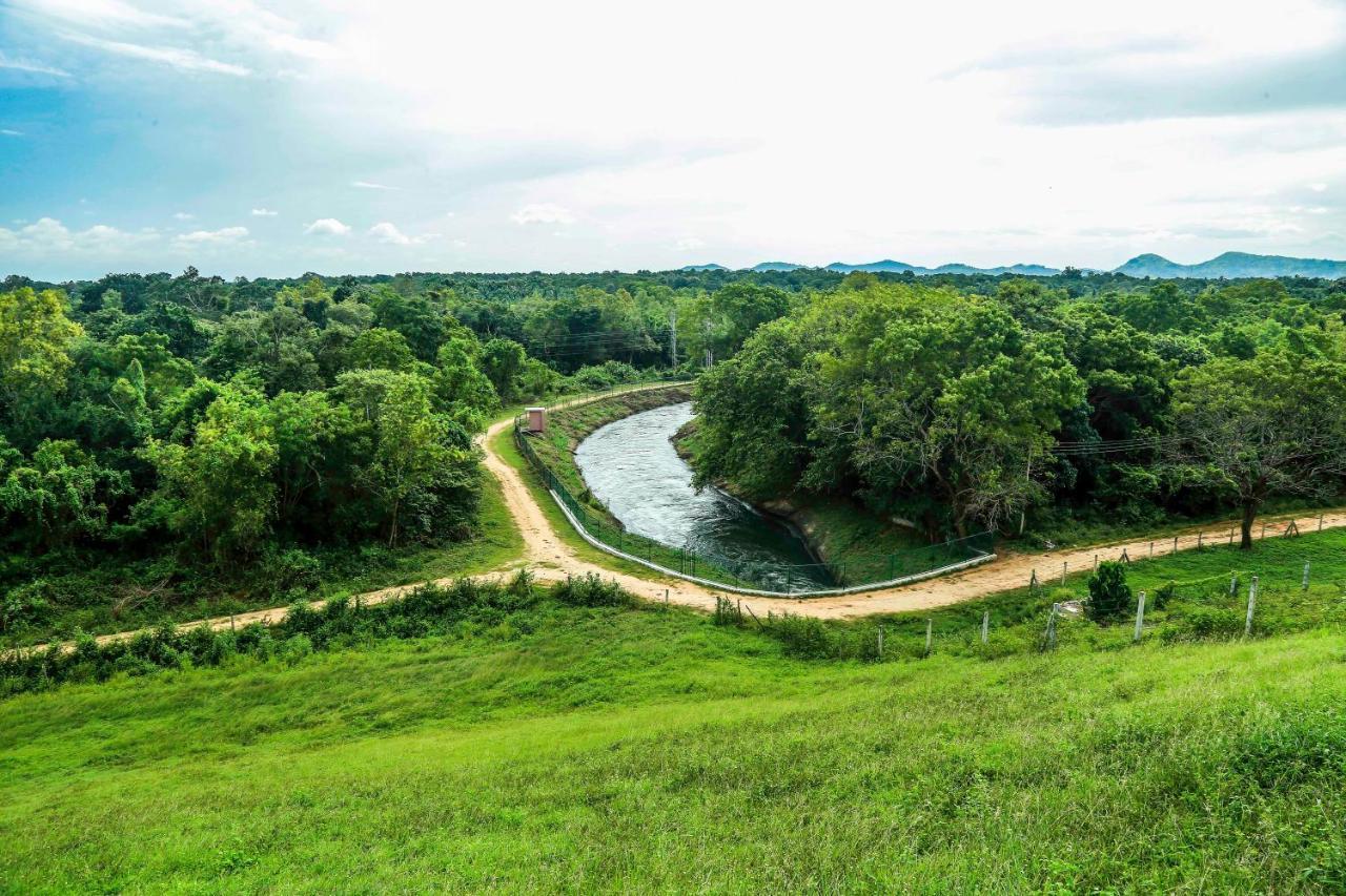 Doola River Edge Удавалаве Экстерьер фото