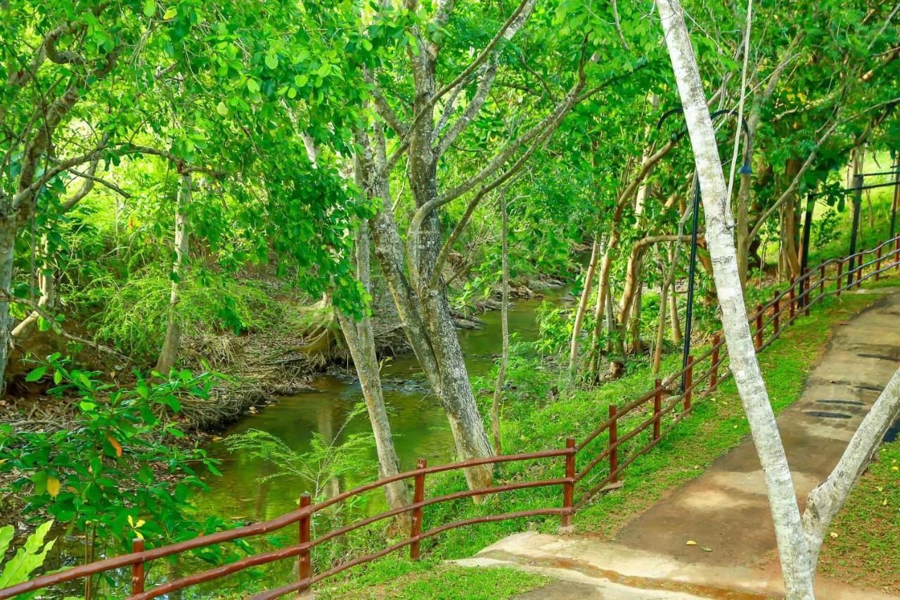 Doola River Edge Удавалаве Экстерьер фото