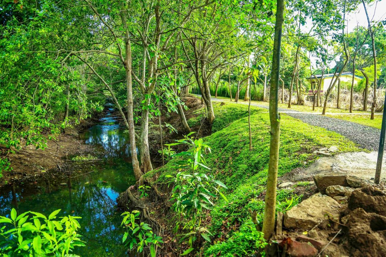 Doola River Edge Удавалаве Экстерьер фото